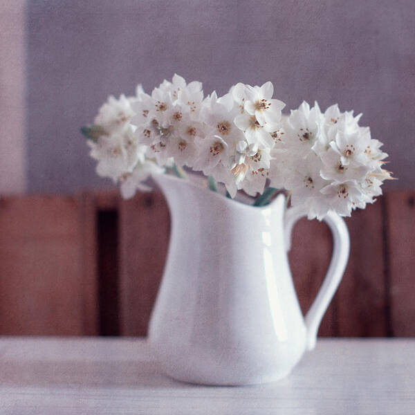 Fragility Art Print featuring the photograph White Flowers In White Pitcher by Copyright Anna Nemoy(xaomena)