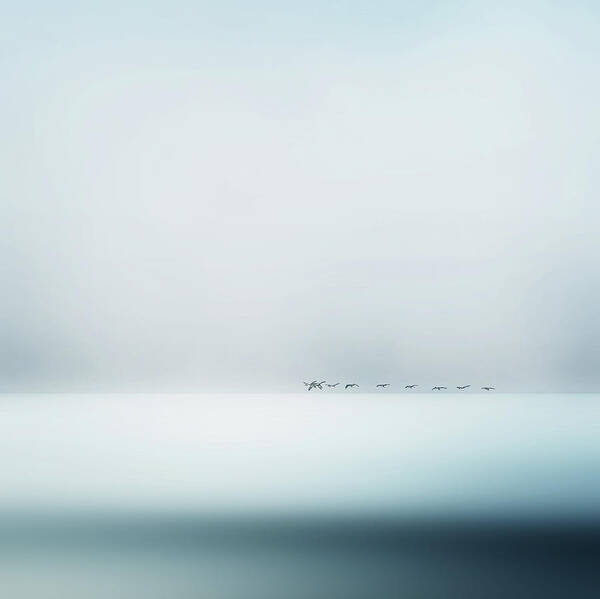 Sea Art Print featuring the photograph Wild Geese by Piet Flour