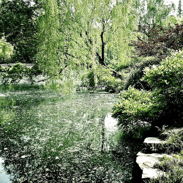 Abstract Garden Lake Art Print featuring the photograph Willow Overture by HweeYen Ong