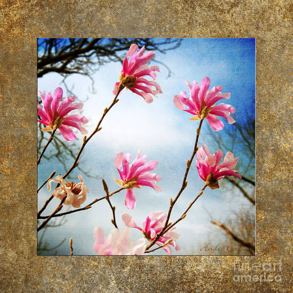 Magnolia Art Print featuring the photograph Wind In The Magnolia Tree Square by Andee Design