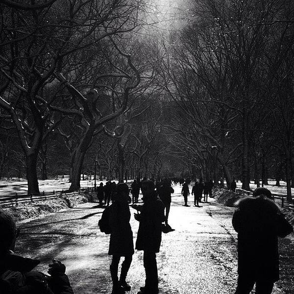 Central Park Art Print featuring the photograph Winter by Jason Furr