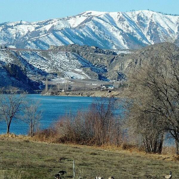 Mountains Art Print featuring the photograph Winter Scene With Geese by Kelli Stowe