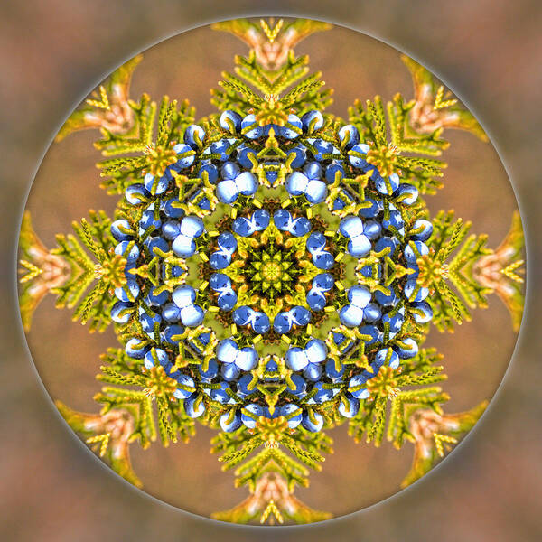  Art Print featuring the photograph Winter Solstice Mandala by Beth Sawickie