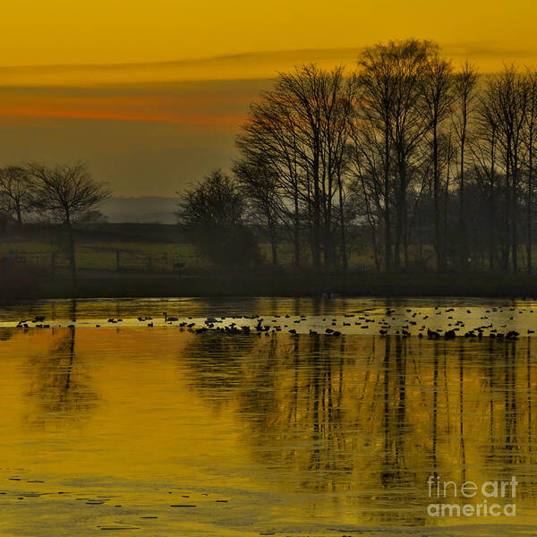 Sunset Art Print featuring the photograph Winter Sunset by Martyn Arnold