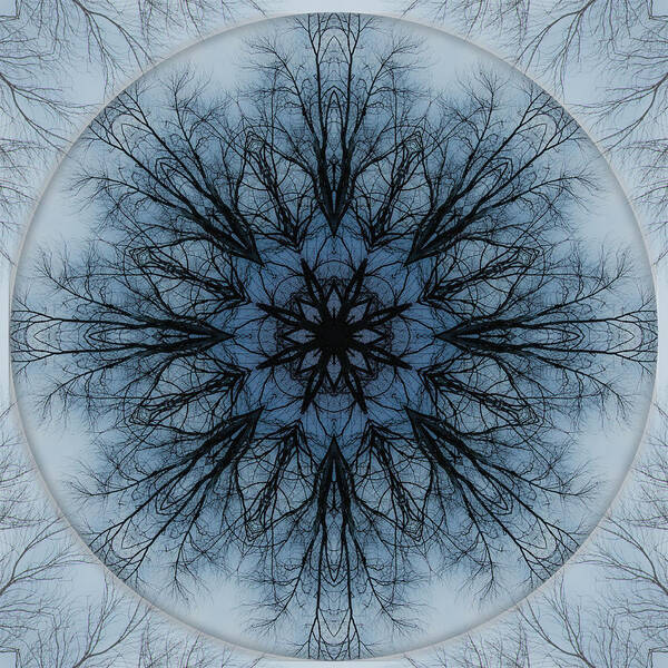 Mandala Art Print featuring the photograph Winter Tree Mandala 2 by Beth Venner