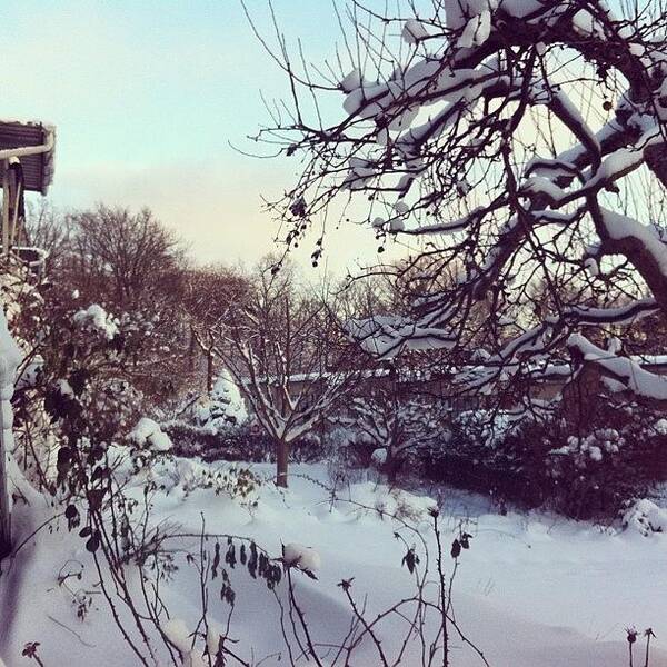 #sweden #winterparadise #amazing #beautifulplaces #picoftheday #stockholm #snow #winter #winterwonderland #landscape #iphonestagram #travel #nature Art Print featuring the photograph Winter Wonderland by Michelle Aros