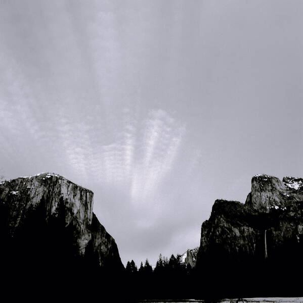 Yosemite Art Print featuring the photograph Yosemite National Park by Shaun Higson