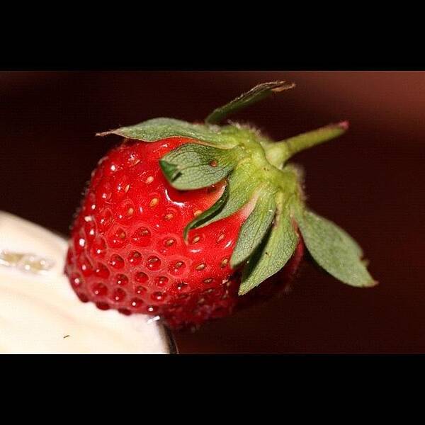 Canonmacro Art Print featuring the photograph 🍓🍓🍓🍓🍓🍓🍓 #1 by Avril O