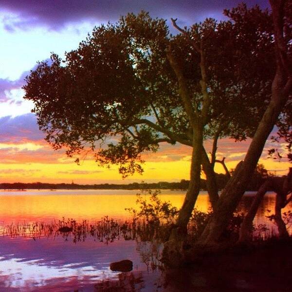 Instagramhub Art Print featuring the photograph #sunset #forster #australia #1 by Nicole Brooks