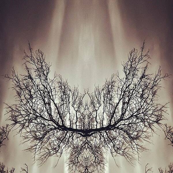 Instagram Art Print featuring the photograph #symmetry #symmetrical #mirror #1 by James Peto