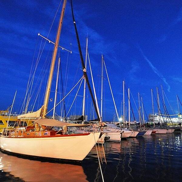 Blue Art Print featuring the photograph #toulon #boat #boats #sail #water #blue #1 by Brenden Mcdonough