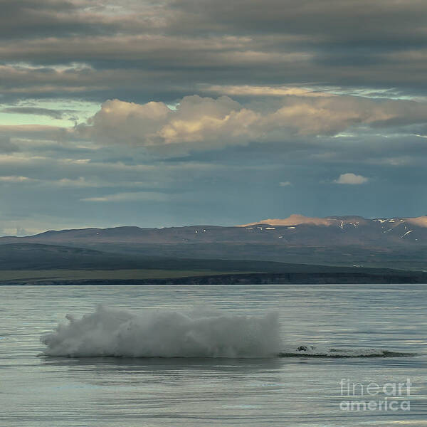 Humpback Whale Art Print featuring the photograph Humpback Whale #15 by Jorgen Norgaard