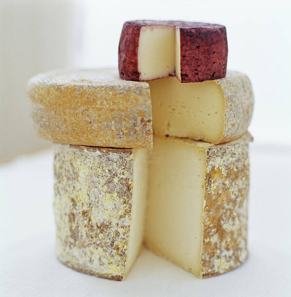 Cheese Art Print featuring the photograph Cheese Selection #2 by David Munns