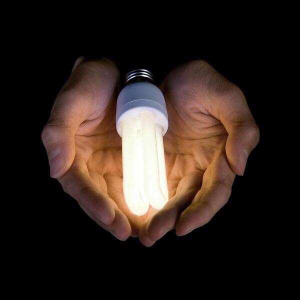 Human Art Print featuring the photograph Energy Efficient Light Bulb #2 by Paul Rapson