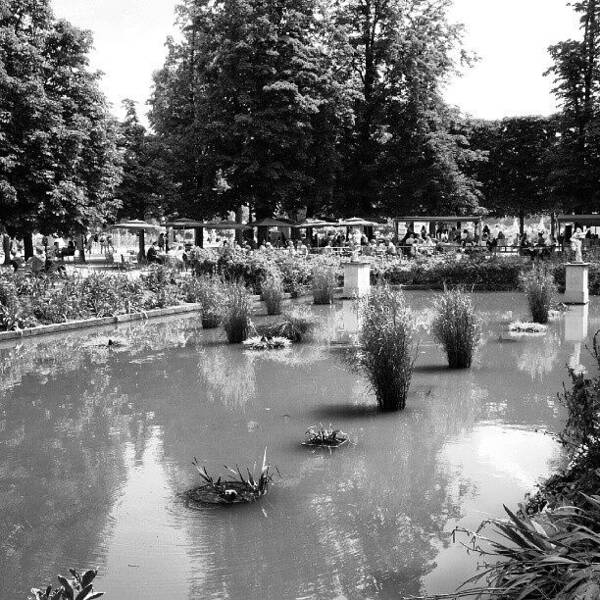 Mobilephotography Art Print featuring the photograph Paris - Parc Des Tuileries #3 by Tony Tecky