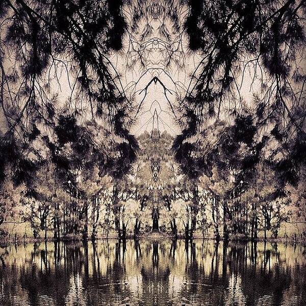 Beautiful Art Print featuring the photograph #tagstagram .com #abstract #symmetry #5 by Dan Coyne