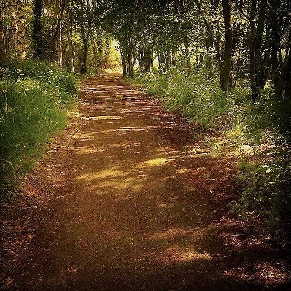 Summer Art Print featuring the photograph A #path ... #woods #forest #green by Linandara Linandara