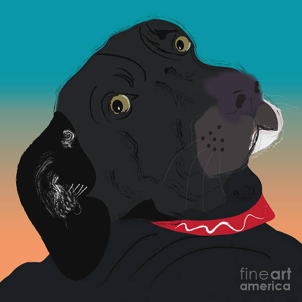 Labrador Black Lab. Pet. Red Collar. Looking Back Art Print featuring the digital art Abby by Cheryl Snyder