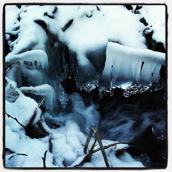  Art Print featuring the photograph Another Pic Of The Ice On The Creek by Linz Posey