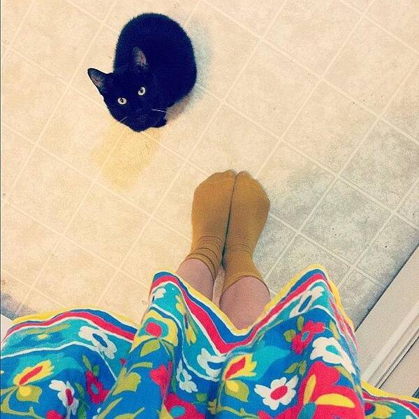 Fromwhereistand Art Print featuring the photograph Apron. Mustard Socks. And Black Cat by Allison Faulkner