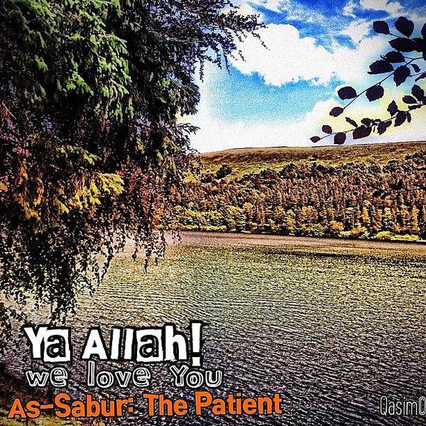 Dailyayat Art Print featuring the photograph As-sabur : The Patient by Am No One ;)