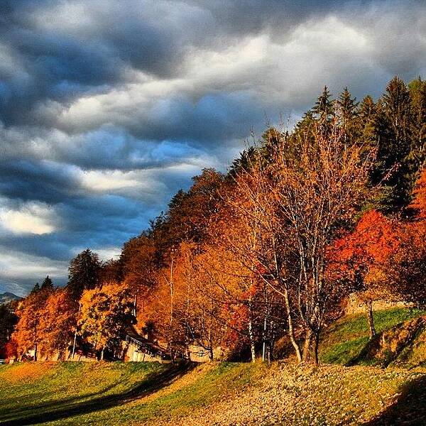  Art Print featuring the photograph Autumn In Southtyrol by Luisa Azzolini