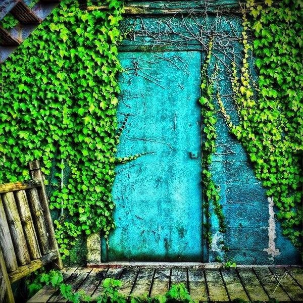 Building Art Print featuring the photograph Back Alley Door by Maury Page