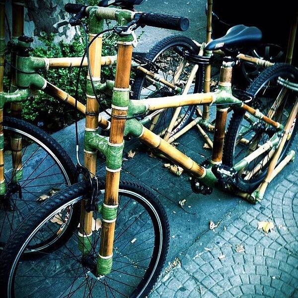 Bicycle Art Print featuring the photograph Bamboo Bike #popular #argentina by Martin Endara