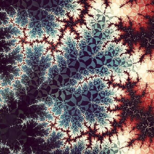 Fractal Art Print featuring the photograph Binary Decomposition in Red and Blue by Jacob Bettany