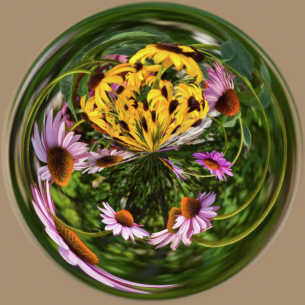 Cone Flower Art Print featuring the photograph Black Eyed Susans and Cone Flowers by Steve Stuller