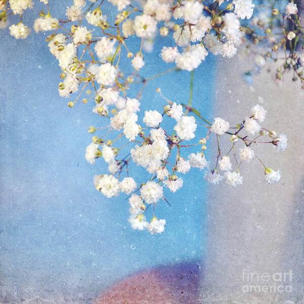 Flowers Art Print featuring the photograph Blue Morning by Lyn Randle
