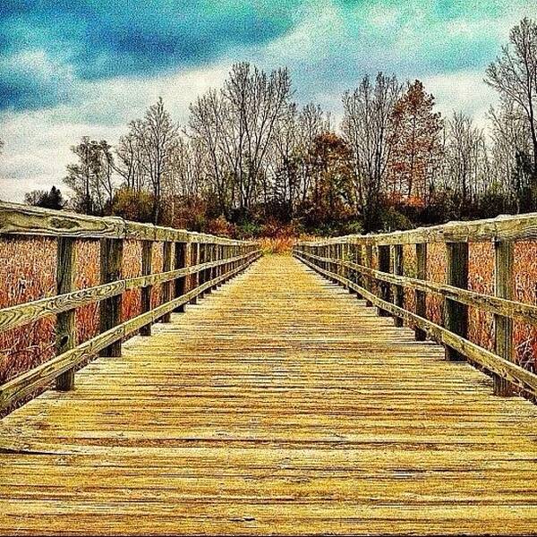 Photoadayapril Art Print featuring the photograph Boardwalk by Maury Page