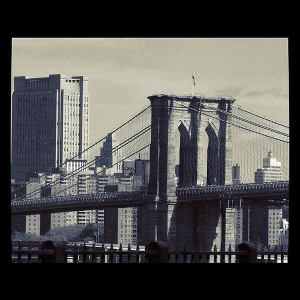 Brooklyn Art Print featuring the photograph Brooklyn Bridge by Emily Moore