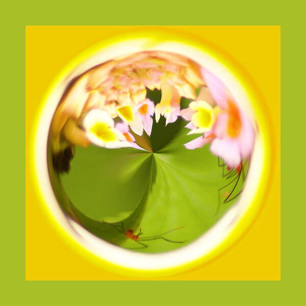 Orb Art Print featuring the photograph Buggy Flower Orb by Bill Barber