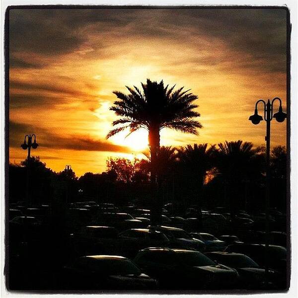 Beautiful Art Print featuring the photograph Cars. Palms. Clouds. Lamps. Sun. ☀ by John Schultz