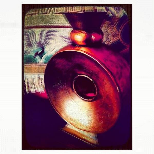 Instagram Art Print featuring the photograph Copper Beauty by Paul Cutright