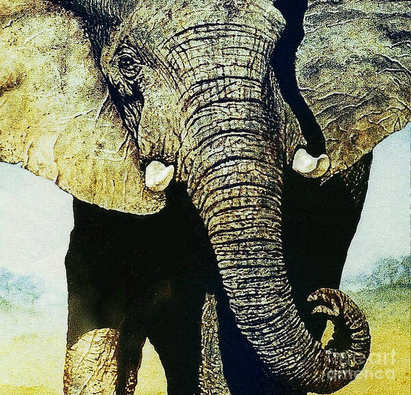 Elephant Art Print featuring the painting Elephant Close-Up by Hartmut Jager