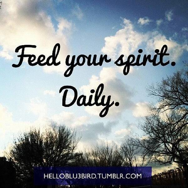 Sayings Art Print featuring the photograph Feed Your Spirit. Daily. #goodmorning by Mariama Rafetna