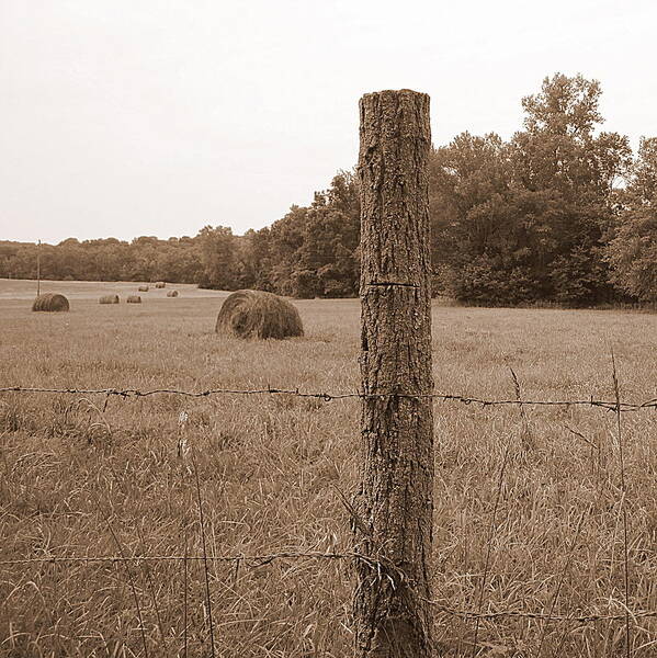 Barbed Wire Art Print featuring the photograph Fence and Field by Life Makes Art
