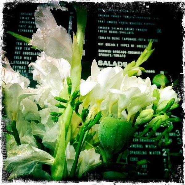 Hipstamatic Art Print featuring the photograph Figs And Freesia by Eric Kent Wine Cellars