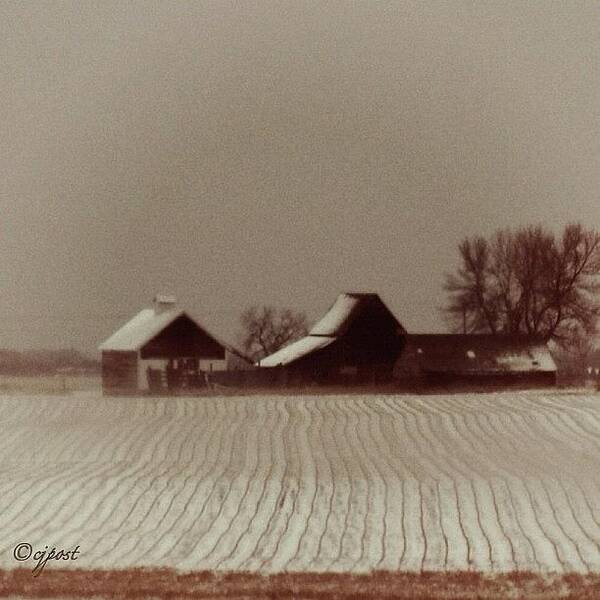 40likes Art Print featuring the photograph First Snow #minnesota by Cynthia Post