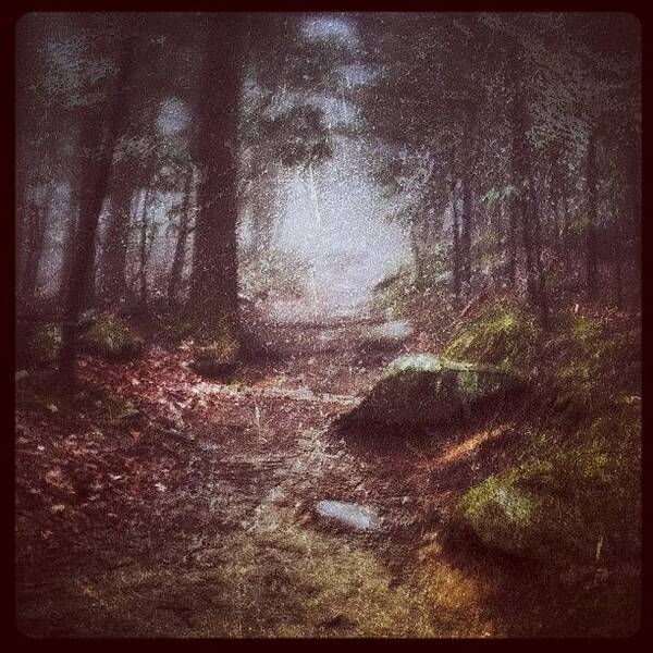 Snapseed Art Print featuring the photograph Foggy Trail by Dave Edens