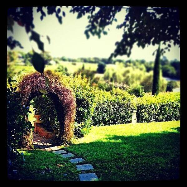 Scenery Art Print featuring the photograph #garden #scenery #hedge #arch by Glen Offereins