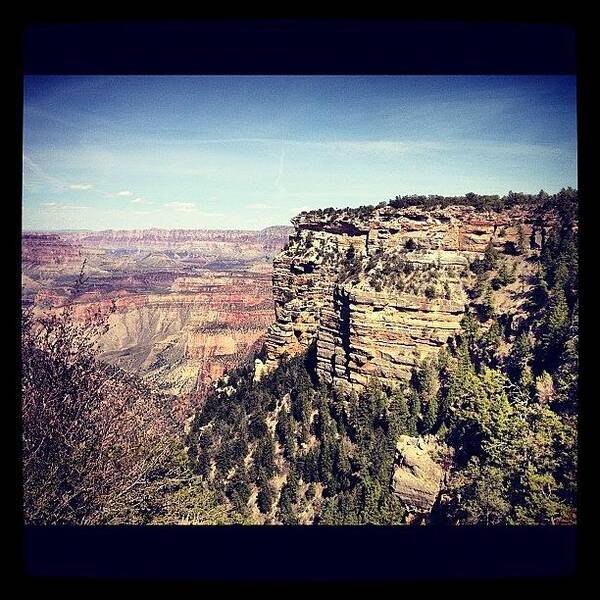 View Art Print featuring the photograph Grand Canyon by Isabel Poulin