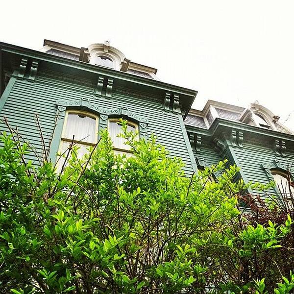 Nature Art Print featuring the photograph #green #house #downtown #buffalo by Jenna Luehrsen