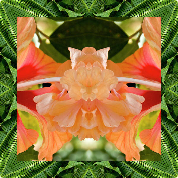 Nature Photography Art Print featuring the photograph Hibiscus Ally by Bell And Todd