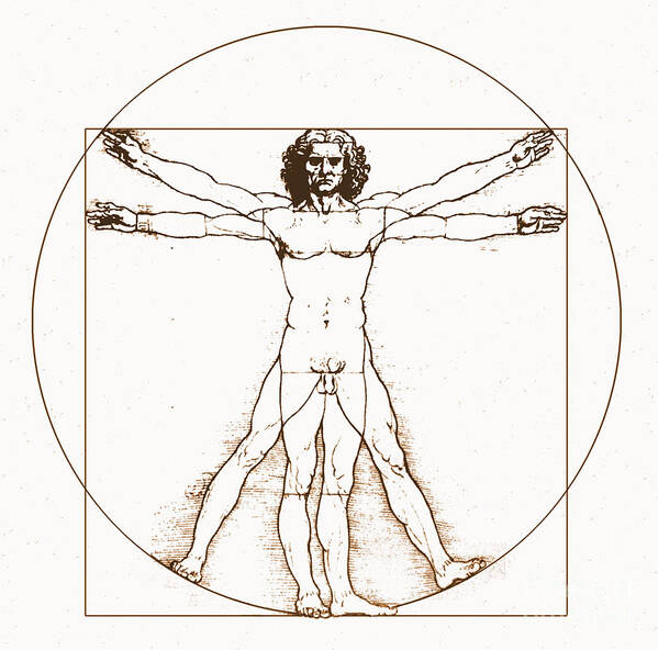 Body Movement Art Print featuring the photograph Human Body By Da Vinci by Omikron