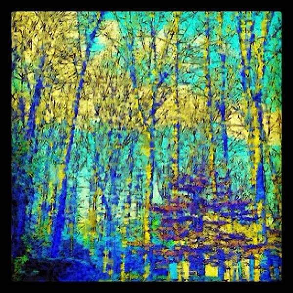  Art Print featuring the photograph Impressionist Trees by Kim Cafri