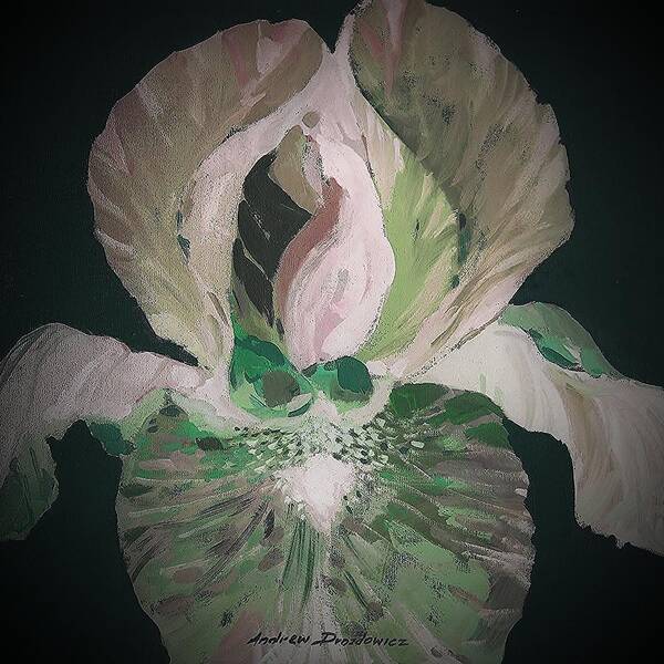 Iris Flower Art Print featuring the painting Iris 4 by Andrew Drozdowicz