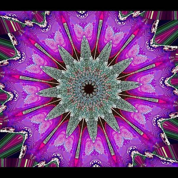 Picture Art Print featuring the photograph #kaleidoscope #dalia#insta #igers by Rita Frederick
